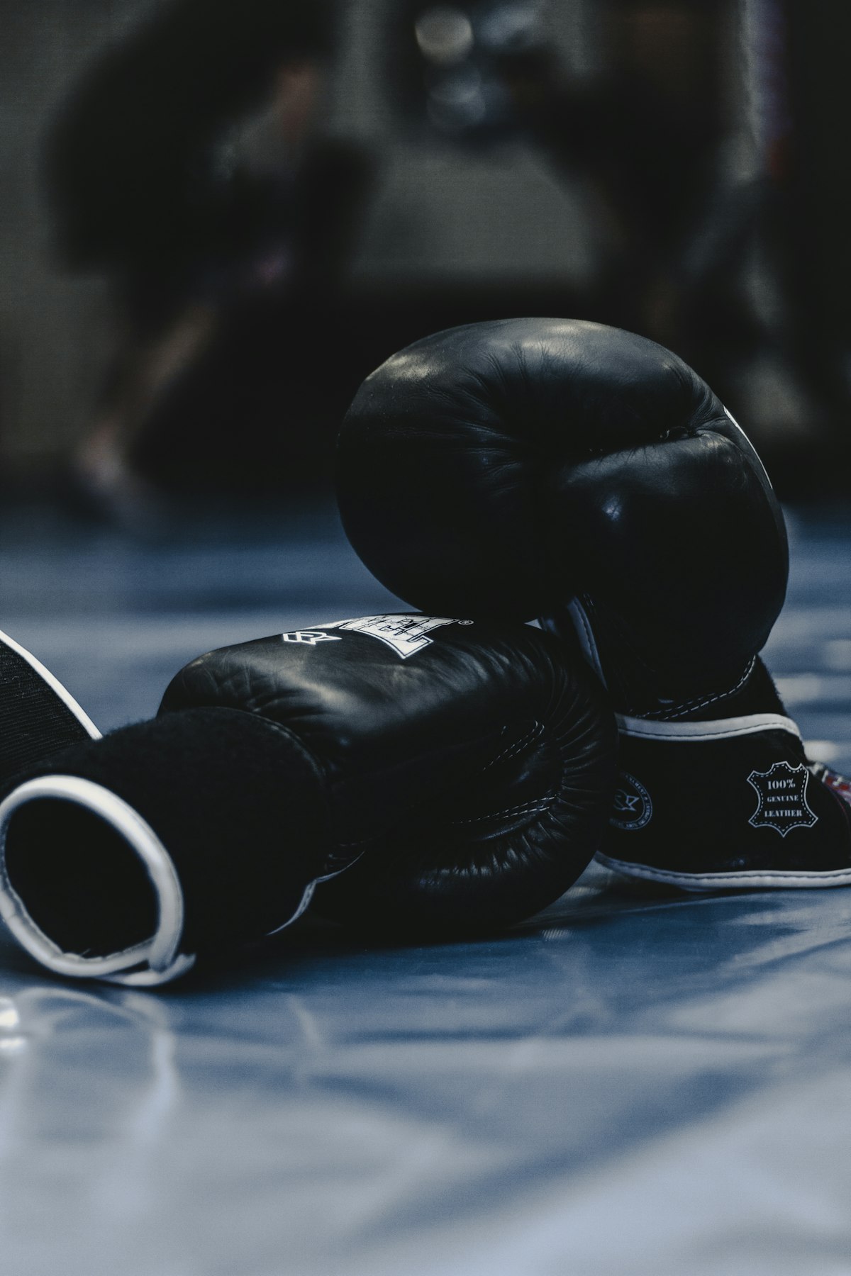 Pro Series Leather Boxing Gloves